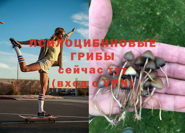 ешки Арсеньев